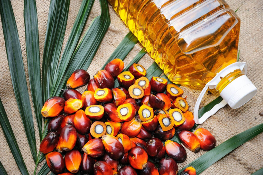 palm oil Dimbaya trade