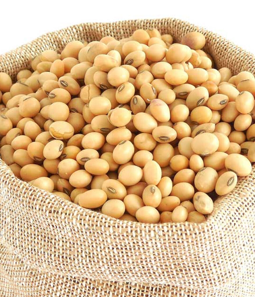 SOY AND DERIVATIVES
